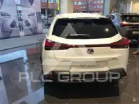 2020 Lexus UX