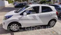 2020 KIA Picanto