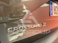 2020 Opel CrosslandX