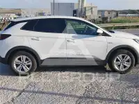 2020 Opel GrandlandX