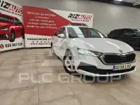 2021 Skoda Octavia