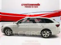 2021 Skoda Octavia