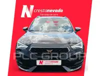 2021 Cupra Other