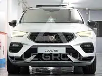 2021 Cupra Other