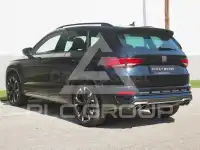 2021 Cupra Other