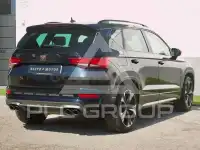 2021 Cupra Other