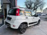 2021 Fiat Panda