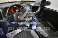 2021 Fiat Panda
