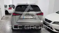 2021 Lexus NX