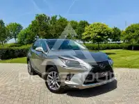 2021 Lexus NX