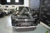 2021 Lexus NX