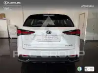 2021 Lexus NX
