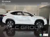 2021 Lexus NX