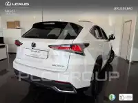 2021 Lexus NX