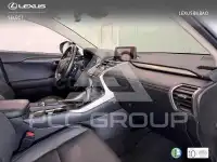 2021 Lexus NX