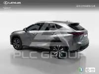 2021 Lexus NX