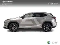 2021 Lexus NX