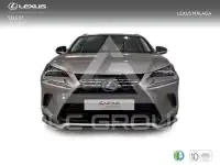 2021 Lexus NX