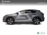 2021 Lexus NX