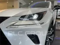 2021 Lexus NX