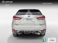 2021 Lexus RX
