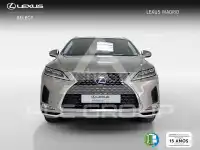 2021 Lexus RX