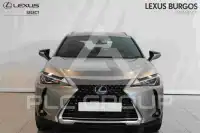 2021 Lexus UX