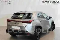 2021 Lexus UX