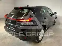 2021 Lexus UX
