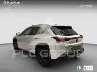2021 Lexus UX
