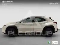 2021 Lexus UX