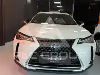 2021 Lexus UX