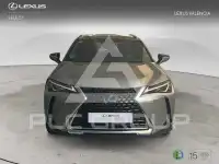 2021 Lexus UX