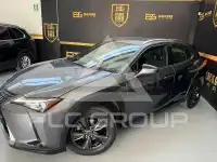 2021 Lexus UX