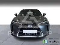 2021 Lexus UX