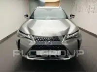 2021 Lexus UX