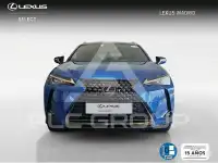 2021 Lexus UX