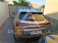 2021 Lexus UX