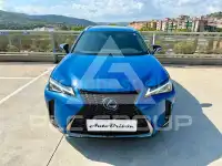 2021 Lexus UX