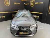 2021 Lexus UX
