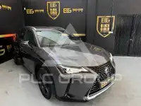2021 Lexus UX