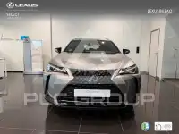 2021 Lexus UX