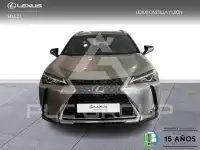 2021 Lexus UX
