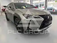 2021 Lexus UX