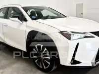 2021 Lexus UX