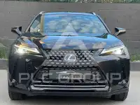 2021 Lexus UX