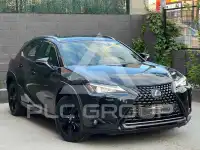 2021 Lexus UX