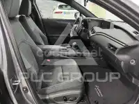 2021 Lexus UX