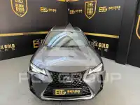 2021 Lexus UX