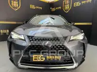 2021 Lexus UX